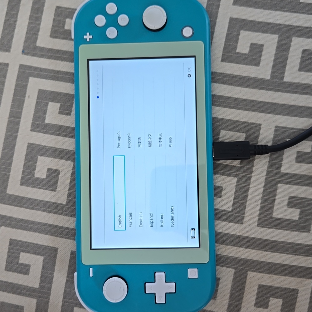 Nintendo Switch Lite